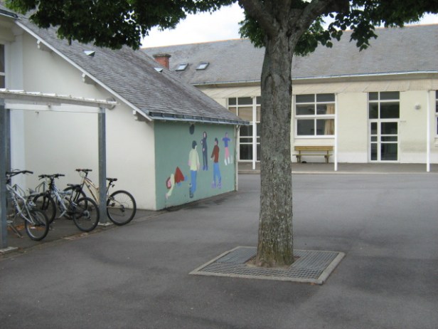 vive le foot, le basket ... 